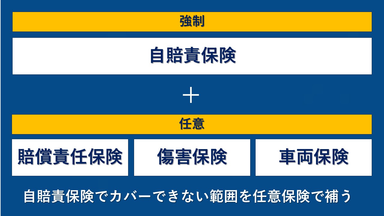 どんな自動車保険に入ればいいの?